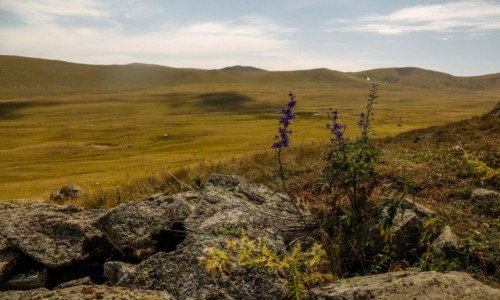 Zdjcie ARMENIA / Centralna Armenia / Gry Gegamskie / ze szlaku...