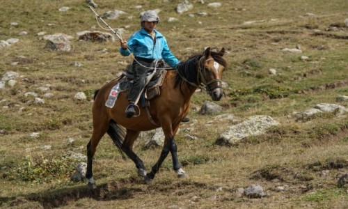 Zdjcie ARMENIA / Centralna Armenia / pod Azhdahak / Jedziec odmiany stepowej....
