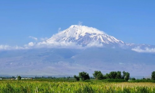 Zdjcie ARMENIA / Ararat / Widok z okolic Khor Virap / Ararat