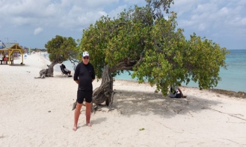 Zdjecie ARUBA (HOLANDIA) / - / Aruba / Plaa