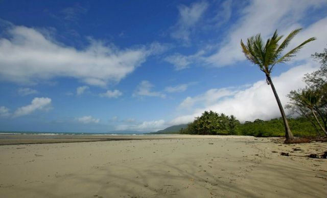 Zdjęcia: Cape Tribulation, Queensland, Plaze Polnocnego Queensland, AUSTRALIA Zdjęcia: Cape Tribulation, Queensland, Plaze Polnocnego Queensland, AUSTRALIA