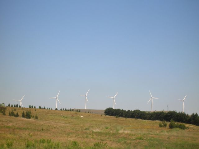 Zdjęcia: Bangendore, NSW, Zwiekszamy energie, AUSTRALIA Zdjęcia: Bangendore, NSW, Zwiekszamy energie, AUSTRALIA