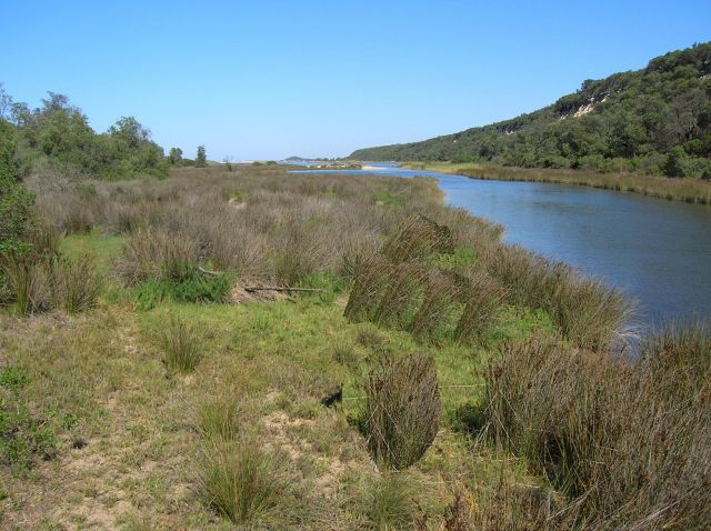Zdjęcia: marlo, Victoria, Snowy River, AUSTRALIA Zdjęcia: marlo, Victoria, Snowy River, AUSTRALIA