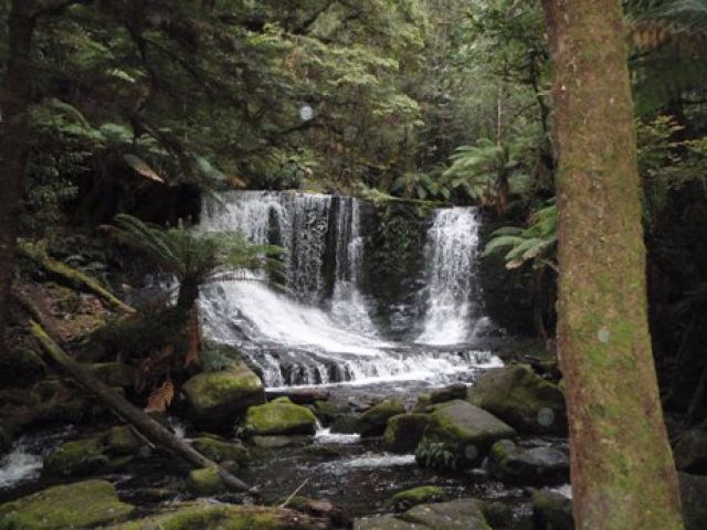 Zdjęcia: Tasmania, Tasmania, wodospad, AUSTRALIA Zdjęcia: Tasmania, Tasmania, wodospad, AUSTRALIA