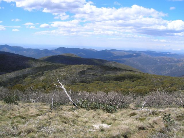 Zdjęcia: Namadgi Nat. Park, ACT, W gorach, MT. Gingera, AUSTRALIA Zdjęcia: Namadgi Nat. Park, ACT, W gorach, MT. Gingera, AUSTRALIA