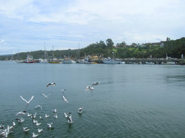 Zdjęcia: Eden, NSW, Port w Eden, AUSTRALIA Zdjęcia: Eden, NSW, Port w Eden, AUSTRALIA