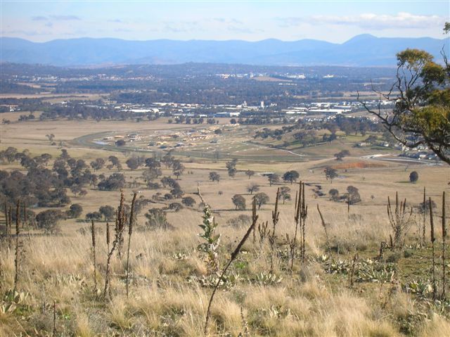 Zdjęcia: Rezerwat przyrody, ACT, Widok na Canberre, AUSTRALIA Zdjęcia: Rezerwat przyrody, ACT, Widok na Canberre, AUSTRALIA