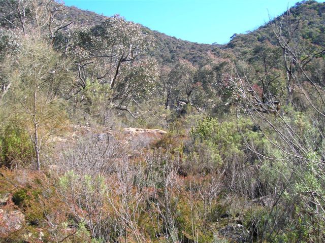 Zdjęcia: MT. Tennant, ACT, Australian Alps, AUSTRALIA Zdjęcia: MT. Tennant, ACT, Australian Alps, AUSTRALIA