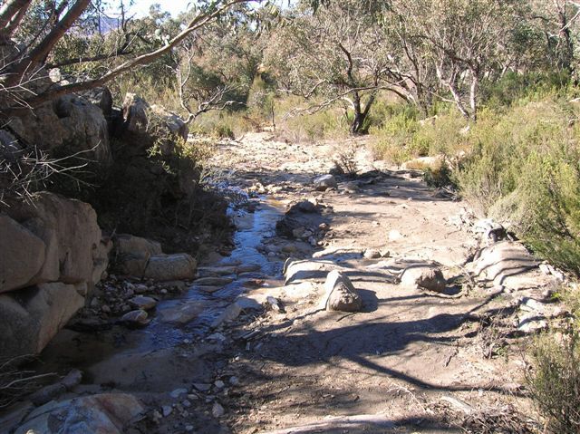 Zdjęcia: Australian Alps, ACT, Strumien na szczycie.., AUSTRALIA Zdjęcia: Australian Alps, ACT, Strumien na szczycie.., AUSTRALIA