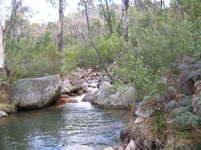 Zdjęcia: Australian Alps, ACT, Strumyk, AUSTRALIA Zdjęcia: Australian Alps, ACT, Strumyk, AUSTRALIA