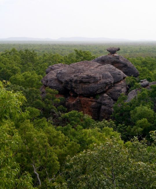 Zdjęcia: Kakadu National Park, Podroze, AUSTRALIA Zdjęcia: Kakadu National Park, Podroze, AUSTRALIA
