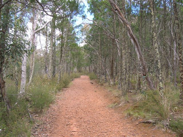 Zdjęcia: The Rock reserve, Riverina, NSW, Lesna droga..interia, AUSTRALIA Zdjęcia: The Rock reserve, Riverina, NSW, Lesna droga..interia, AUSTRALIA
