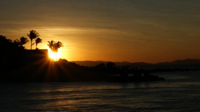 Zdj cia: Day Dream Island, Queensland, DayDream Island, AUSTRALIA