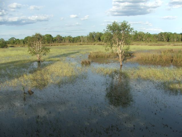 Zdjęcia: Park Narodowy Kakadu, Okolice Darwin, Park narodowy Kakadu, AUSTRALIA Zdjęcia: Park Narodowy Kakadu, Okolice Darwin, Park narodowy Kakadu, AUSTRALIA