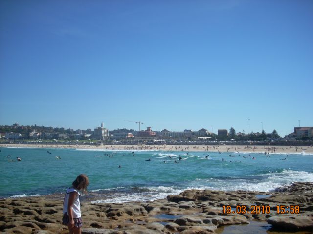 Zdjęcia: Sydney, NSW, Bondi Beach, AUSTRALIA Zdjęcia: Sydney, NSW, Bondi Beach, AUSTRALIA