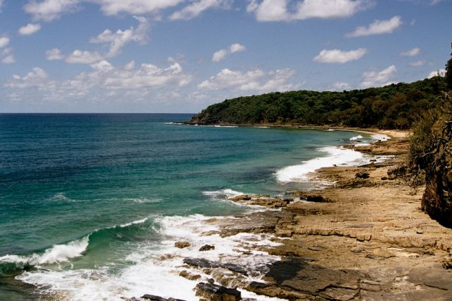Zdjęcia: plaża, Sunshine Coast, W poszukiwaniu koali, AUSTRALIA Zdjęcia: plaża, Sunshine Coast, W poszukiwaniu koali, AUSTRALIA
