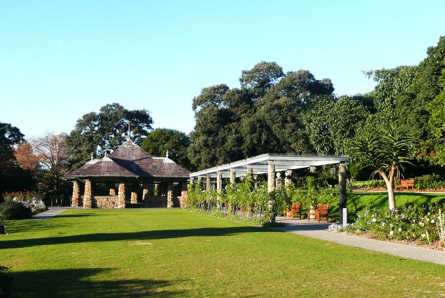 Zdjęcia: RBG, Sydney, Royal Botanic Gardens, AUSTRALIA Zdjęcia: RBG, Sydney, Royal Botanic Gardens, AUSTRALIA
