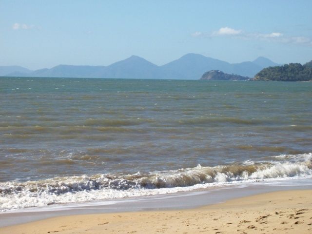 Zdjęcia: Palm Cove, Queensland, Plaża w Palm Cove, AUSTRALIA Zdjęcia: Palm Cove, Queensland, Plaża w Palm Cove, AUSTRALIA