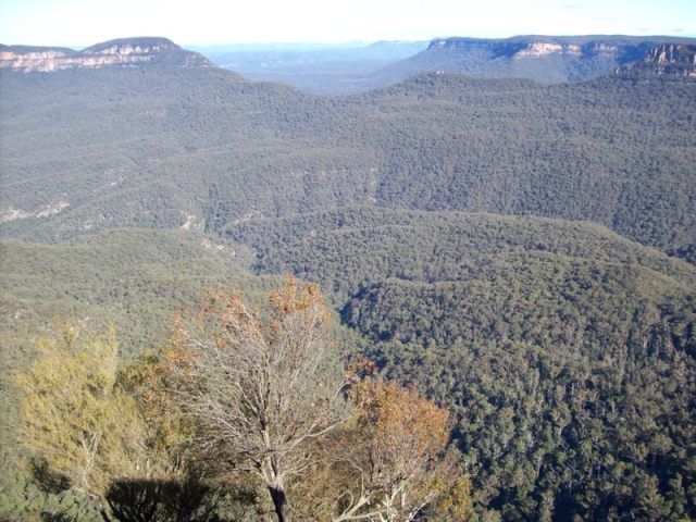 Zdjęcia: Blue Mountains, NSW, Widok na Blue Mountains, AUSTRALIA Zdjęcia: Blue Mountains, NSW, Widok na Blue Mountains, AUSTRALIA