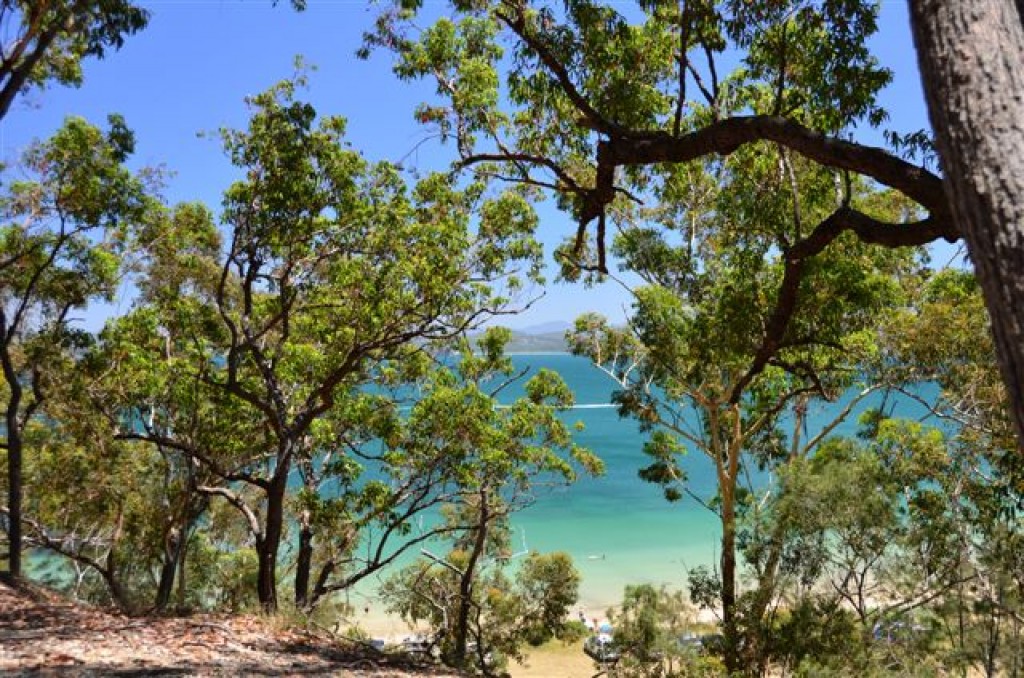 Zdjęcia: South Coast, NSW, Eukaliptusy nad oceanem, AUSTRALIA Zdjęcia: South Coast, NSW, Eukaliptusy nad oceanem, AUSTRALIA