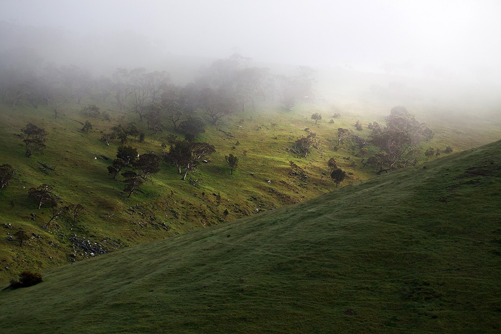 Zdjęcia: Deep Creek, South Australia, ..., AUSTRALIA Zdjęcia: Deep Creek, South Australia, ..., AUSTRALIA
