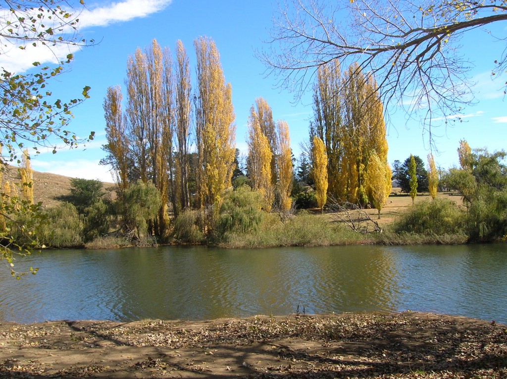 Zdjęcia: Dalgety-miasteczko, NSW, Sniezna rzeka w Dalgety.., AUSTRALIA Zdjęcia: Dalgety-miasteczko, NSW, Sniezna rzeka w Dalgety.., AUSTRALIA