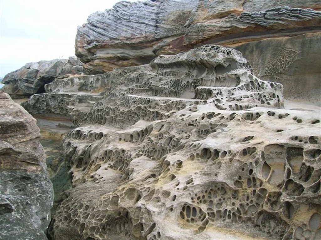 Zdjęcia: Coogee beach, Sydney, Jak w ulu.., AUSTRALIA Zdjęcia: Coogee beach, Sydney, Jak w ulu.., AUSTRALIA