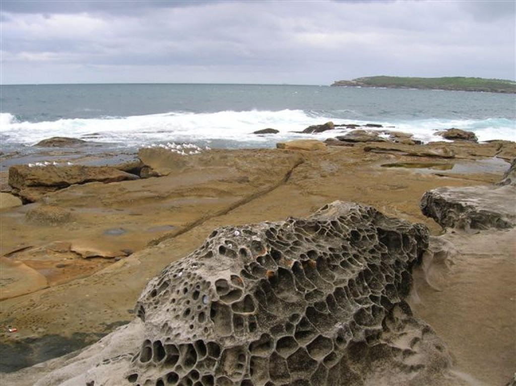 Zdjęcia: marubra, Sydney, Marubra Beach i mewy, AUSTRALIA Zdjęcia: marubra, Sydney, Marubra Beach i mewy, AUSTRALIA