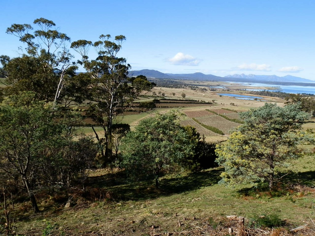 Zdjęcia: Gdzieś na Tasmanii, Tasmania, Tasmania, AUSTRALIA Zdjęcia: Gdzieś na Tasmanii, Tasmania, Tasmania, AUSTRALIA