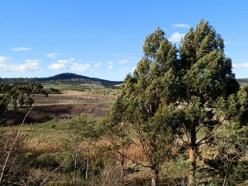 Zdjęcia: Interior, Tasmania, Tasmańskie klimaty, AUSTRALIA Zdjęcia: Interior, Tasmania, Tasmańskie klimaty, AUSTRALIA