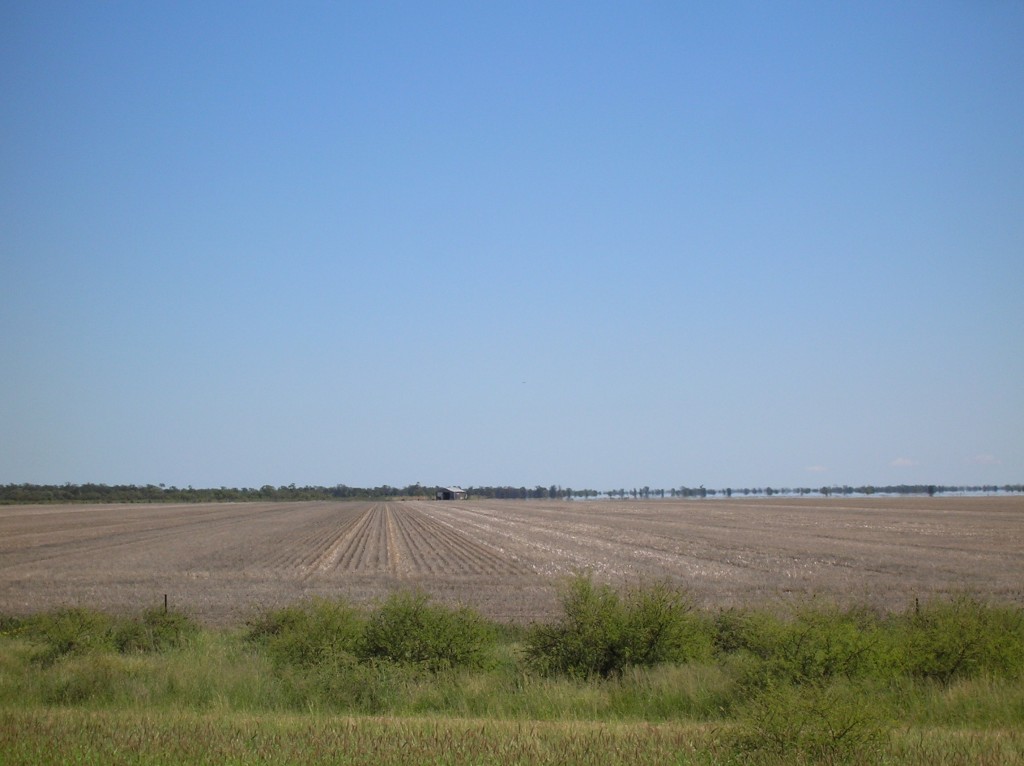 Zdjęcia: Moree, Outback wschodni, Pustka na outbacku, AUSTRALIA Zdjęcia: Moree, Outback wschodni, Pustka na outbacku, AUSTRALIA