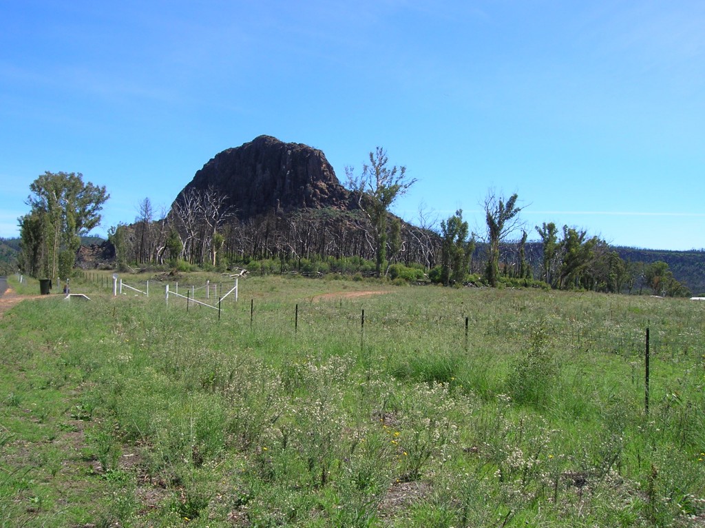 Zdjęcia: Warrumbungle, Outback wschodni, Wjazd do parku, AUSTRALIA Zdjęcia: Warrumbungle, Outback wschodni, Wjazd do parku, AUSTRALIA