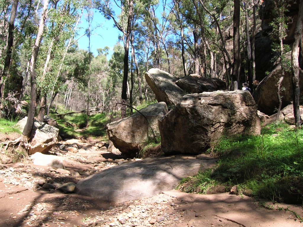 Zdjęcia: Warrumbungle-oaza gorska na pustkowiu, Outback wschodni, Na szlaku, AUSTRALIA Zdjęcia: Warrumbungle-oaza gorska na pustkowiu, Outback wschodni, Na szlaku, AUSTRALIA