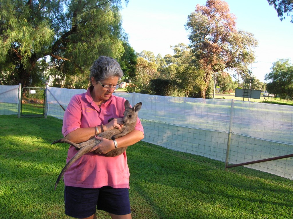 Zdjęcia: Tooraweena village, North NSW, Zaklad opiekunczy, AUSTRALIA Zdjęcia: Tooraweena village, North NSW, Zaklad opiekunczy, AUSTRALIA