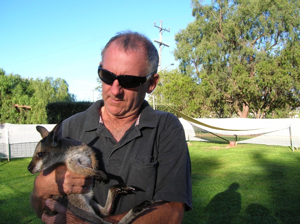 Zdjęcia: Tooraweena village, North NSW, Zaklad opiekunczy kangurow i wollobies, AUSTRALIA Zdjęcia: Tooraweena village, North NSW, Zaklad opiekunczy kangurow i wollobies, AUSTRALIA