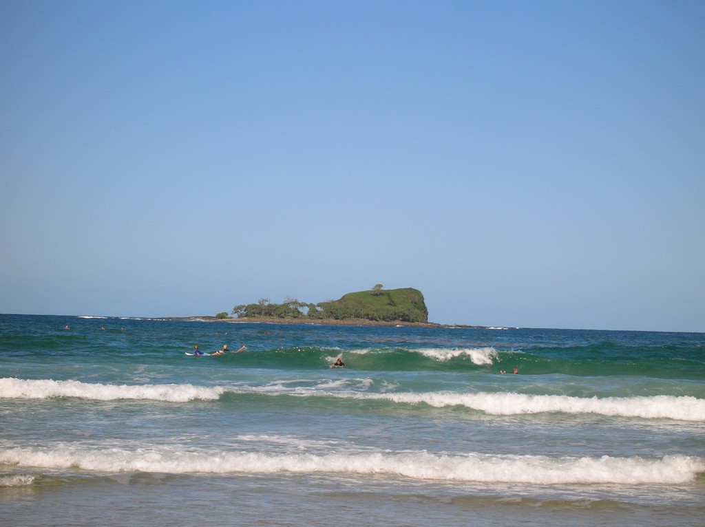 Zdjęcia: Sloneczne Wybrzeze, Sunshine Coast, Wyspa starej kobiety, AUSTRALIA Zdjęcia: Sloneczne Wybrzeze, Sunshine Coast, Wyspa starej kobiety, AUSTRALIA