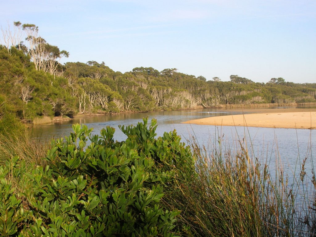 Zdjęcia: Congo, Wschodnia Australia, Congo River, AUSTRALIA Zdjęcia: Congo, Wschodnia Australia, Congo River, AUSTRALIA