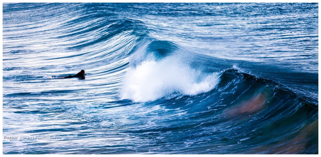 Zdjęcia: Manly, Sydney, Wave Hunter, AUSTRALIA Zdjęcia: Manly, Sydney, Wave Hunter, AUSTRALIA