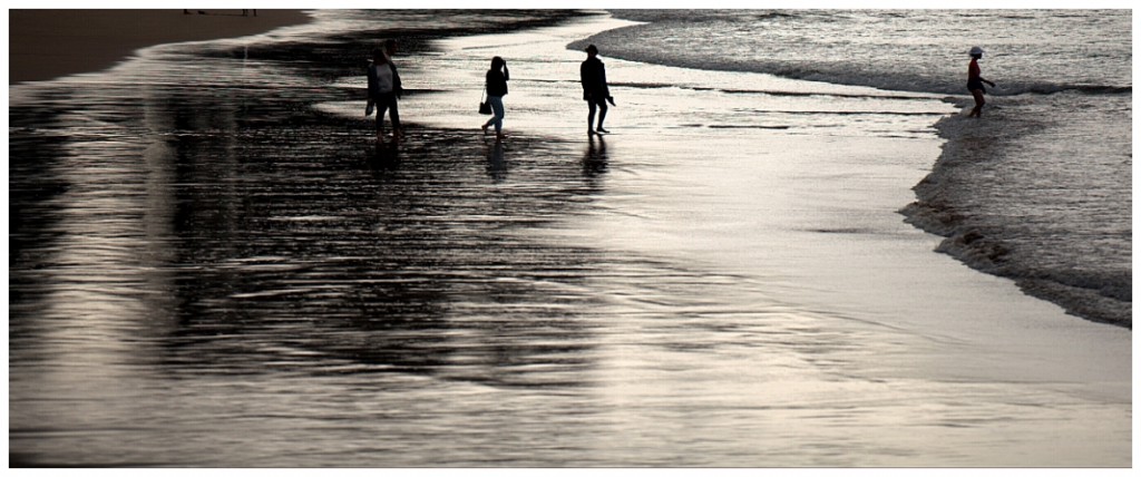 Zdjęcia: Manly, Sydney, Manly Beach, AUSTRALIA Zdjęcia: Manly, Sydney, Manly Beach, AUSTRALIA