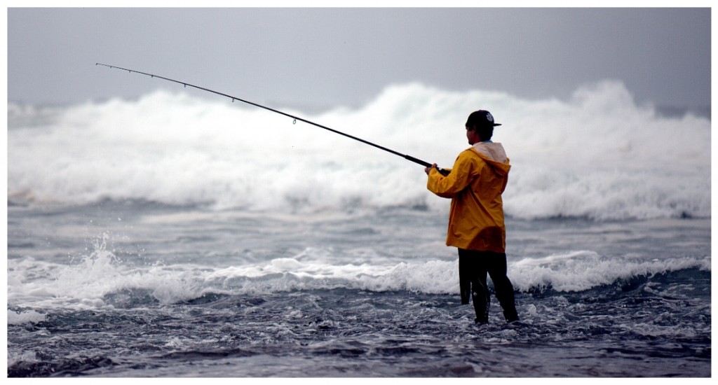 Zdjęcia: Palm Beach, Sydney, Angler, AUSTRALIA Zdjęcia: Palm Beach, Sydney, Angler, AUSTRALIA