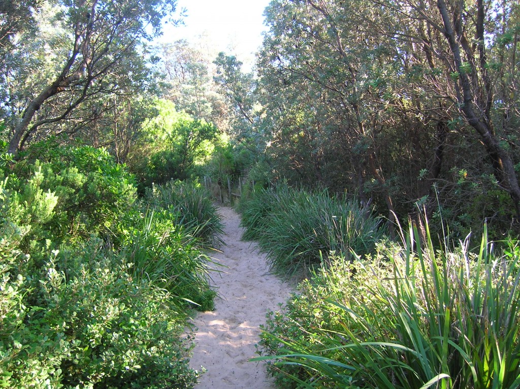 Zdjęcia: Broulee, NSW, Zielono mi, AUSTRALIA Zdjęcia: Broulee, NSW, Zielono mi, AUSTRALIA