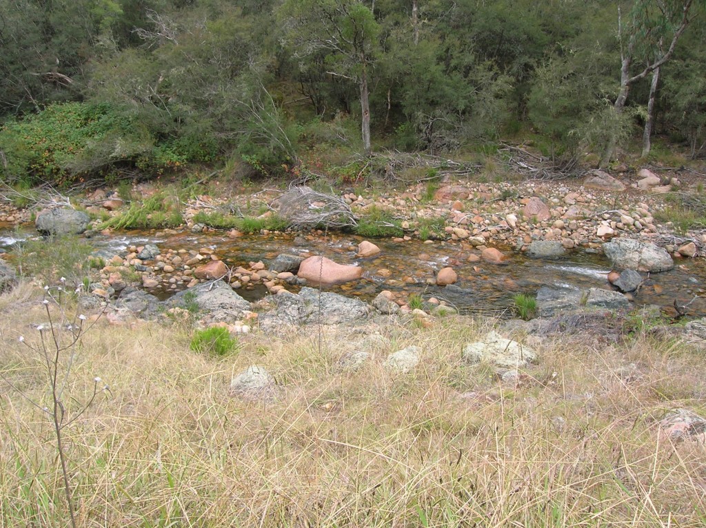 Zdjęcia: Sniezne Gory, NSW, Jounama Creek, AUSTRALIA Zdjęcia: Sniezne Gory, NSW, Jounama Creek, AUSTRALIA
