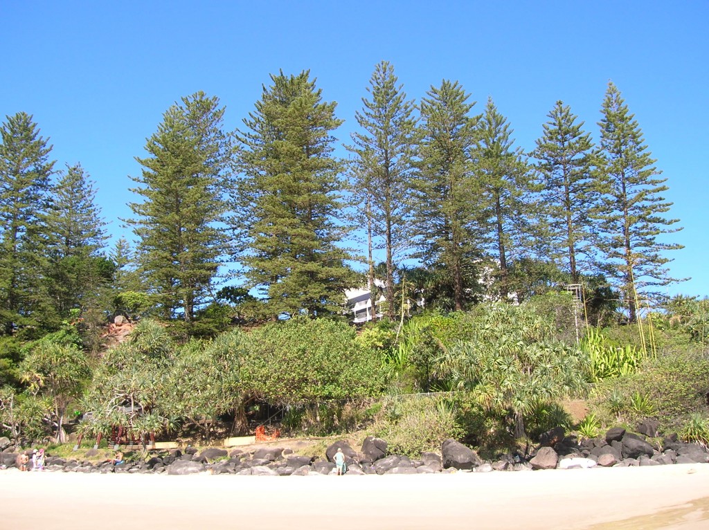 Zdjęcia: Coolangatta, Queensland, Widok na Green Mount, AUSTRALIA Zdjęcia: Coolangatta, Queensland, Widok na Green Mount, AUSTRALIA