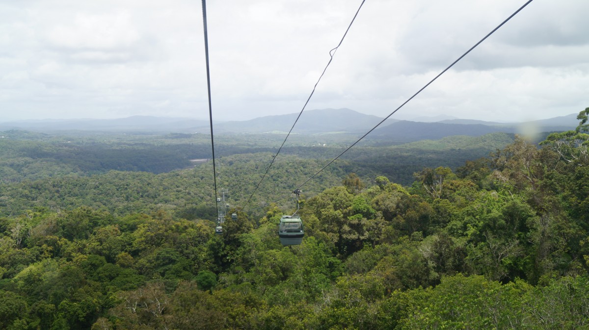 Zdjęcia: Cairns, Queensland, Nad lasem deszczowym, AUSTRALIA Zdjęcia: Cairns, Queensland, Nad lasem deszczowym, AUSTRALIA