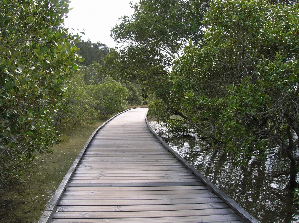 Zdjęcia: Currumbin, Qld, Boardwalk, AUSTRALIA Zdjęcia: Currumbin, Qld, Boardwalk, AUSTRALIA