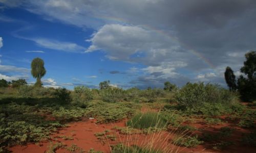 Zdjecie AUSTRALIA / - / Ayers Rock / cisza przed burz