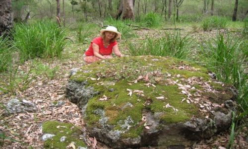 Zdjecie AUSTRALIA / NSW, Kangaroo Valley / sussex-inlet, 200 km od Canberry, NSW / wycieczka