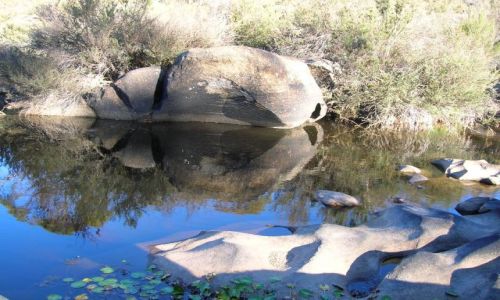 Zdjcie AUSTRALIA / NSW / National park / Skaly przy Murrumbidgee River