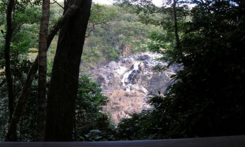 Zdjęcie AUSTRALIA / Queensland, tropiki australijskie / Cairns i okolice / Wawoz, okolice Cairns