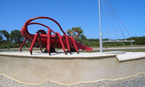Zdjecie AUSTRALIA / Zach. Australia / w drodze do Kalbarii, na polnoc.. / Duzy lobster
